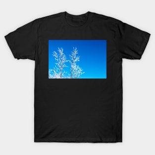 Crystal morning, Lapland T-Shirt